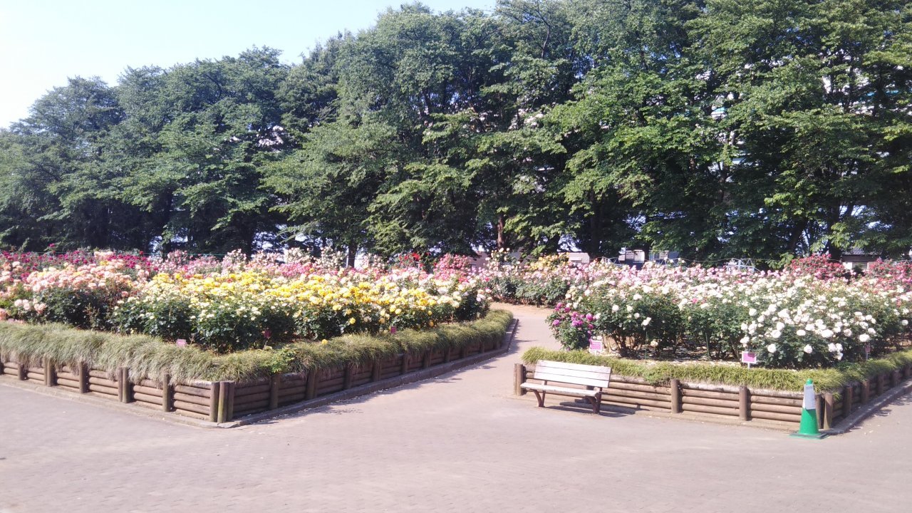 与野公園1